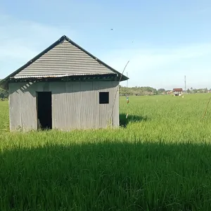Manfaatkan Potensi lokal 