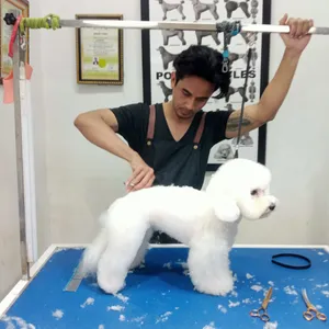 Grooming anjing