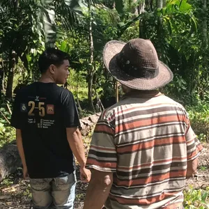 Tes
