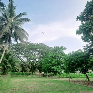 Budak Pembual