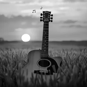 Rich Fields Bluesy