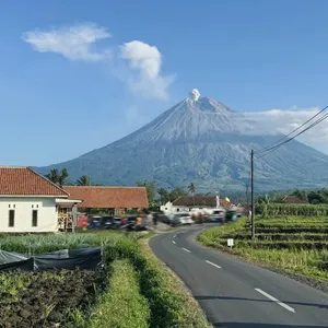 Pecinta alam