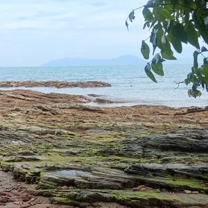 Kantorku Tepi Pantai