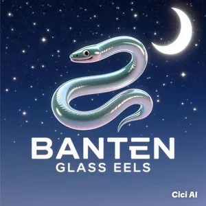 Bibit Sidat Glass eels