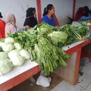 Dipasar bukit harapan