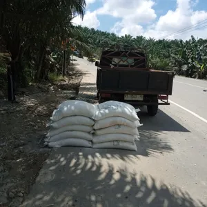 Riwariwi cepret