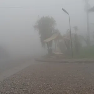 Foto dan videoo