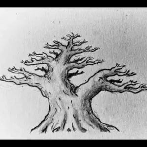 Bonsai 