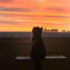 Senja Bersuara FM