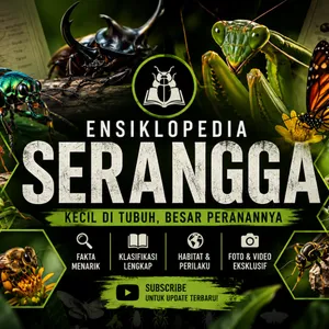 serangga
