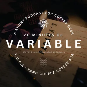 Y.C.C.A. - VARIABLES