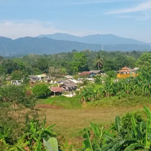 Ini Andika adikku