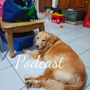 Anjing Golden itu sifatnya gimana sih?