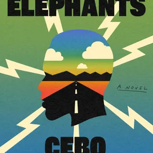 (Download PDF) Sky Full of Elephants by Cebo Campbell Free Read