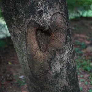 2. Terlambat