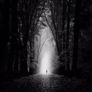 Misteri Bukit Rimbun