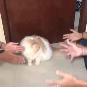 Begini Nasib