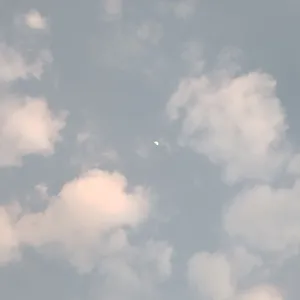 PILOT