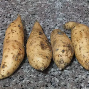 Masak ubi yang lagi viral