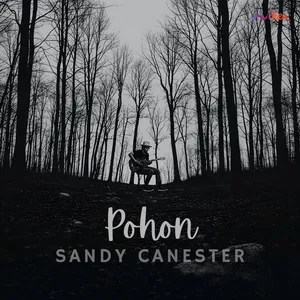 Sandy Canester - Pohon