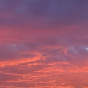 opening
