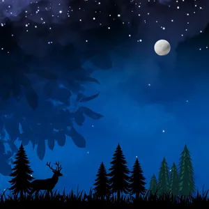 Choosing to Speak in the Middle of Silence