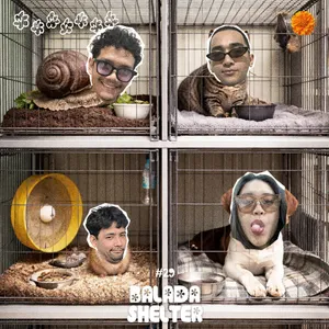 NUMPUNK #29 - Balada Shelter