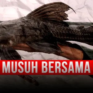 MANUSIA ADALAH IKAN SAPU-SAPU