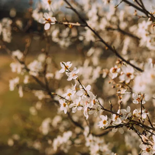 Menangislah, jangan ditahan!
