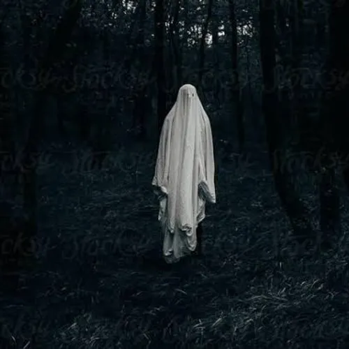 Penunggu pohon Kapuk