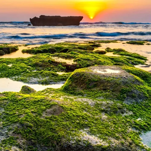 Quarter Life Crisis Bangbay