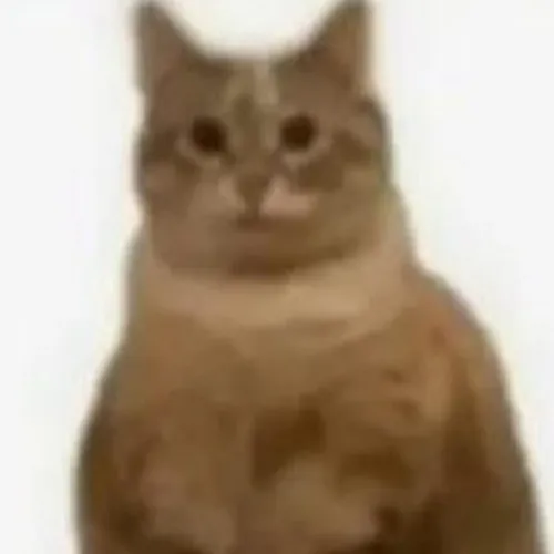 Ngobrol tentang pentingnya gaya hidup sehat di lingkungan mahasiswa