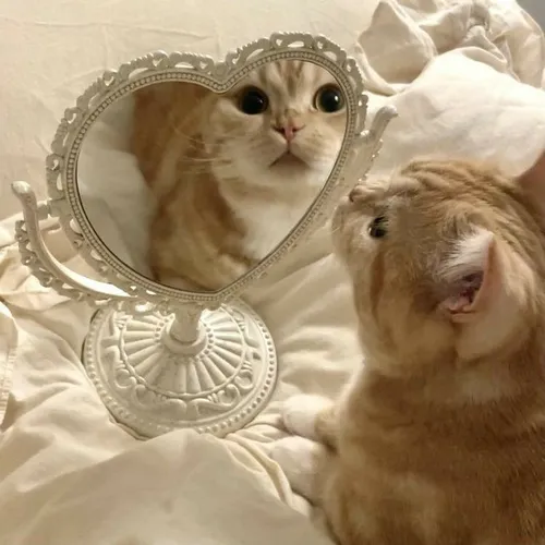 Podcast 11 - Nisa Haerani 2305206