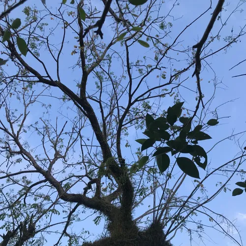 Reboot #6 - Life After the Era? #30HariBersuara2024