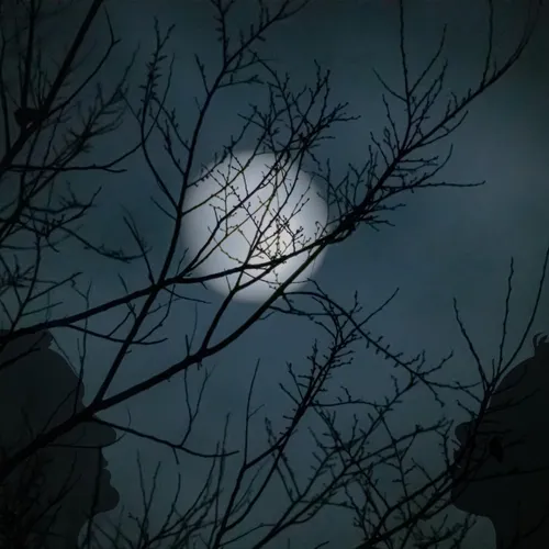 Diantara 2 dunia: Kisah mistis di rumah kos di kaki gunung