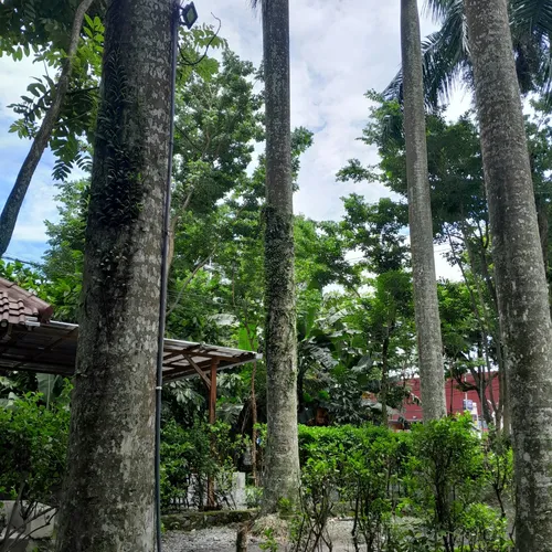 EPISODE 1 NGOPI & NADA "SKENA DAN OTOMOTIF"