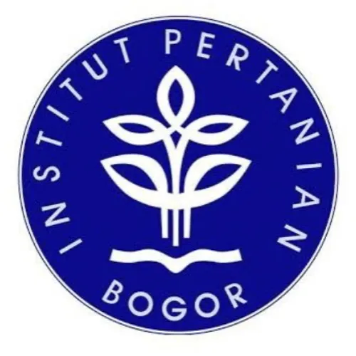 Sinematografi Digital: Ketika Teknologi Bertemu Imajinasi