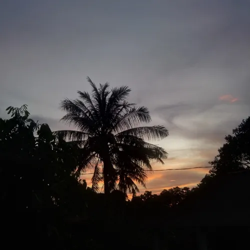Sendirian naik bus hantu saat mudik lebaran 