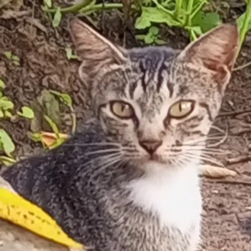 Suara hati seorang pejuang keluarga