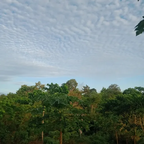 Alam yang indah 