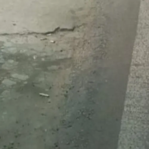 YAPPING Eps 1 : Menghijaukan Aktivisme