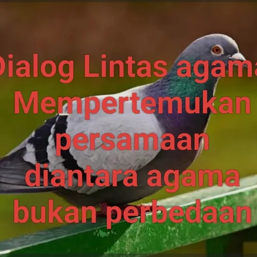 Diganti Yang Lebih Baik
