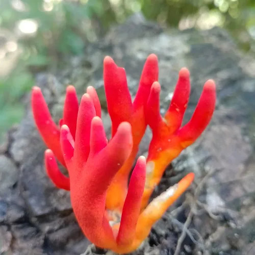 Angin kencang di sore hari menjelang magrib