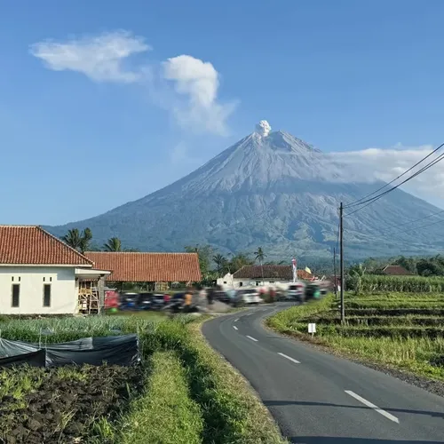 Keindahan Lereng Teras Semeru