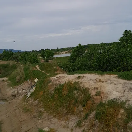Panen udang