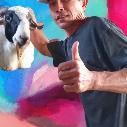 Cepat kaya dg beternak Domba