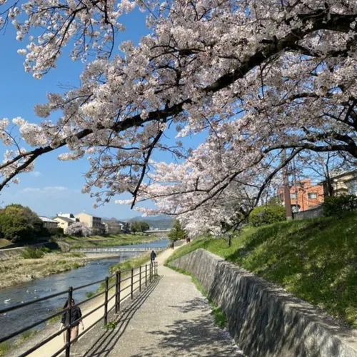 Mentari pagi yang sejuk