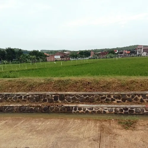 ANUGERAH ILAHI