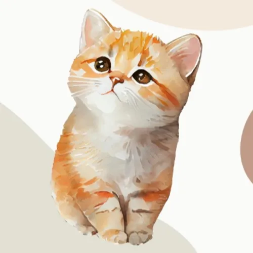 Pola Pikir Finansial Gen Z: Pentingnya Catatan Keuangan