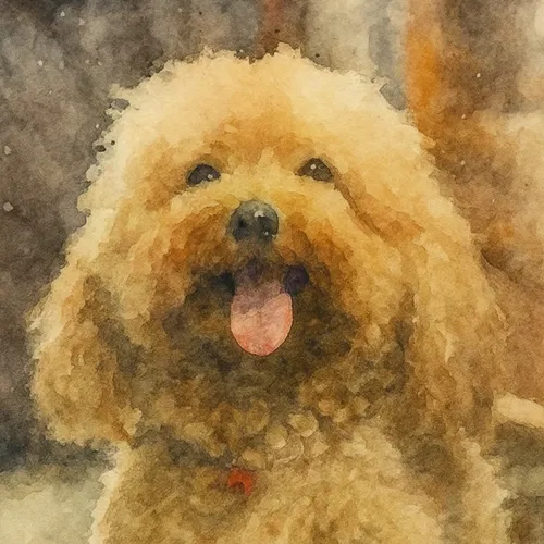 A Silent Collar (Anjing, dalam selimut!)